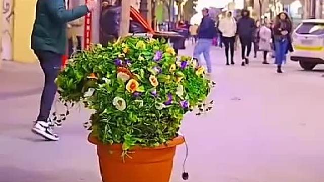 哇哦！老外恶搞乐开花咯