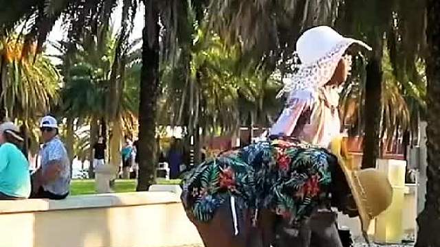 老外恶搞，太有乐子笑到呛水哟