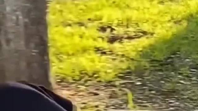 嘿哟嘿哟！老外玩法超嗨皮哟