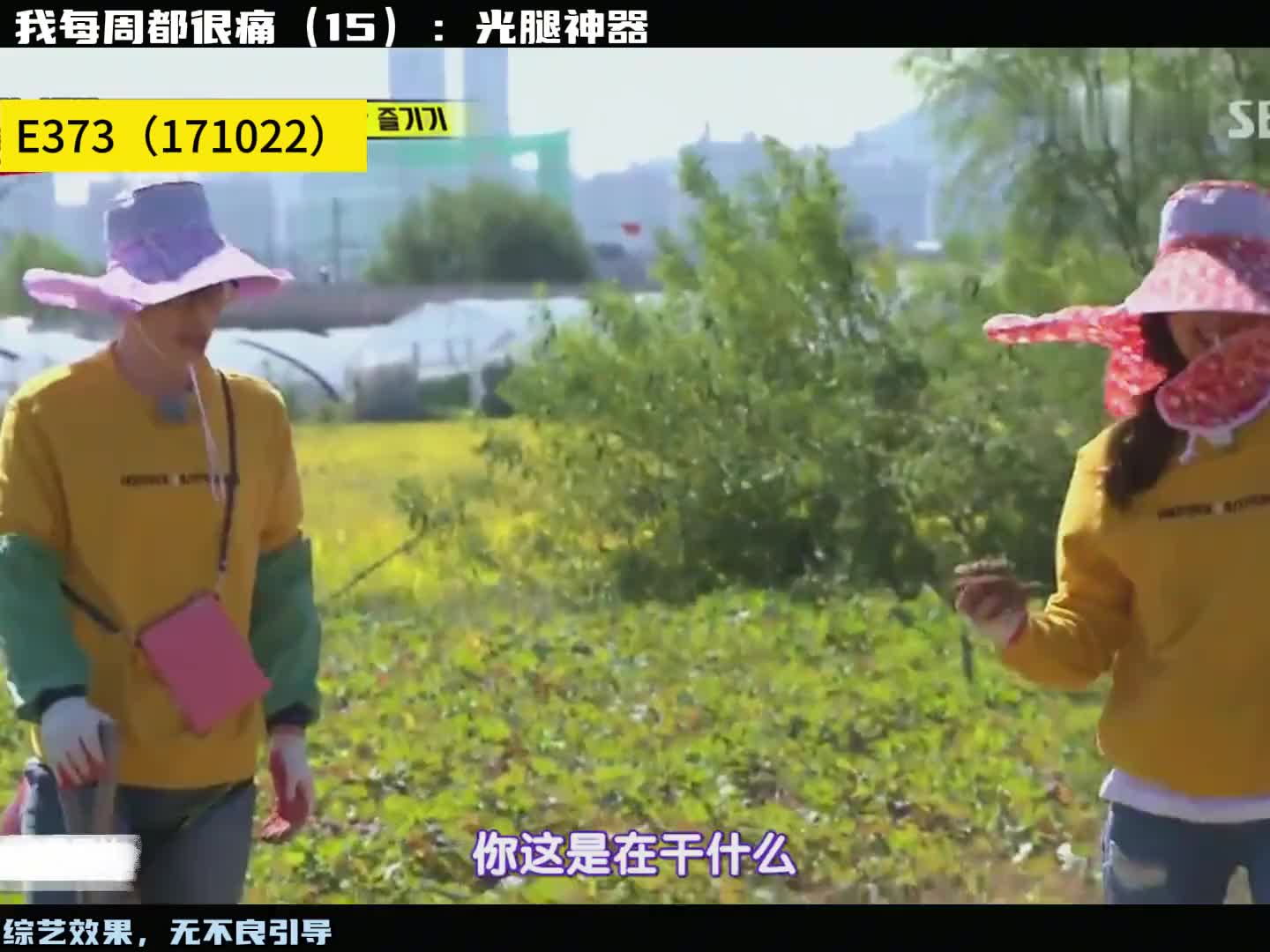 我每周都很痛（15）：光腿神器，当“毛裤”遇上脱毛是一种什么体验