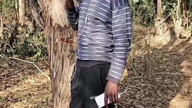 老外疯玩，太欢乐笑到嗨