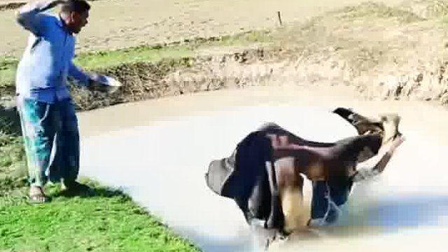 瞅瞅老外，玩法多有乐趣