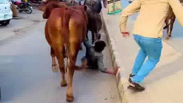 歪果仁，恶搞真的超有料像宝藏库