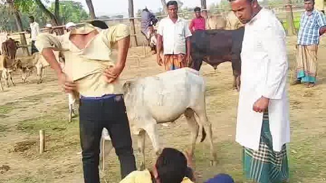 看老外，恶搞玩出疯狂新奇招