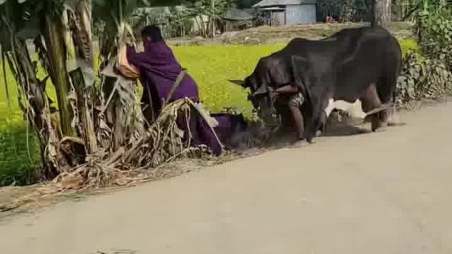 笑岔气哇哦！老外的奇妙玩法