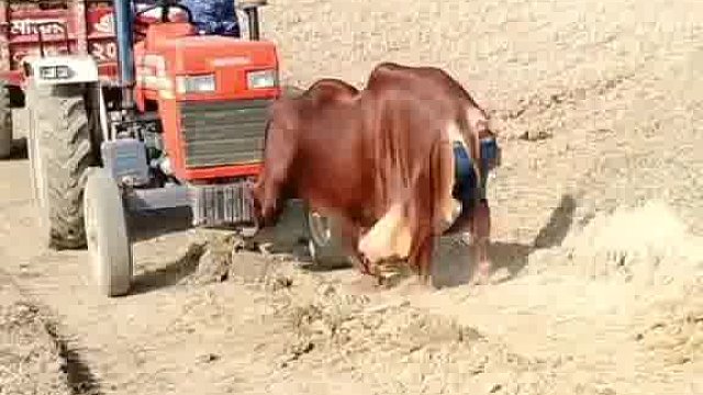 看老外玩出啥新奇独特样