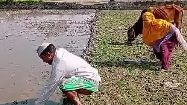 看！老外恶搞玩出快乐新玩法