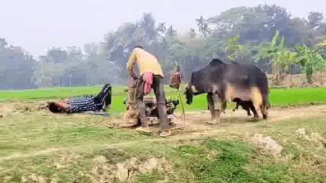 老外独特玩法，笑破肚皮