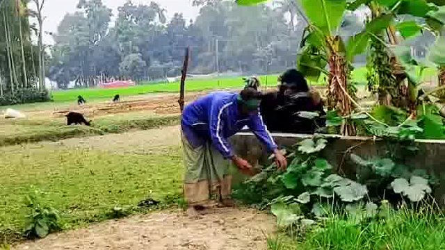 笑翻！老外奇妙玩法来袭