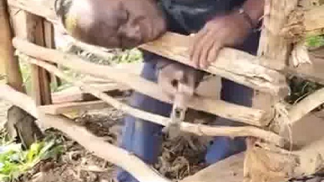 看老外，玩出疯狂新奇招啦