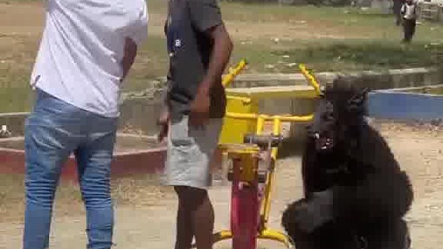 看老外玩出啥疯狂新奇玩法