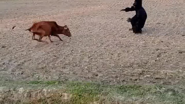 笑不活了哇哦！老外搞怪恶搞亮相