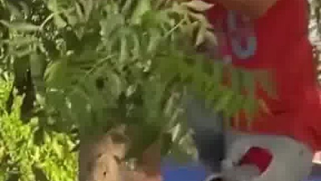 看老外玩出啥新奇有趣花样秀