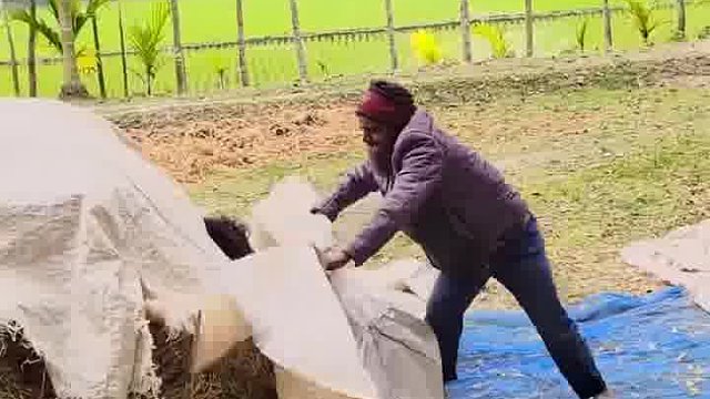 惊！老外的欢乐玩法全曝光