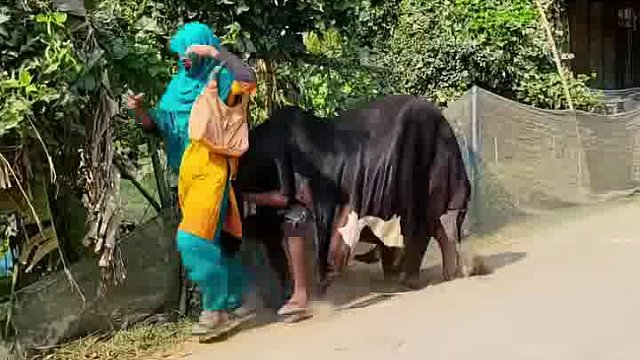 老外趣味玩法，笑到笑出双下巴