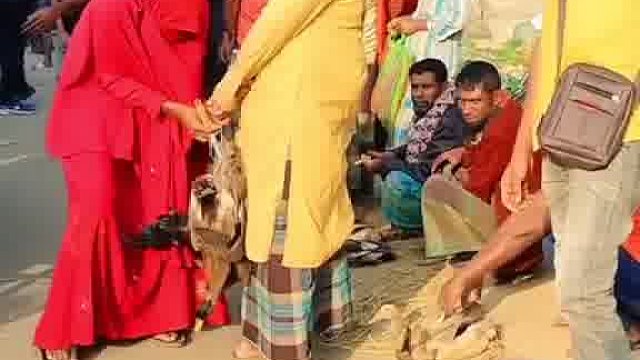 笑喷！老外欢乐恶搞大放送