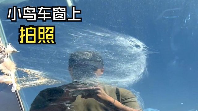 那些动物们的尴尬时刻！