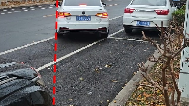 现实版侧方位停车新手一看就会，简单易懂