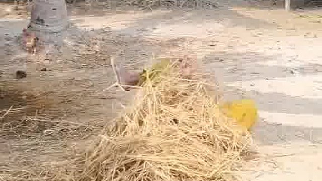 惊！老外的新奇玩法曝光