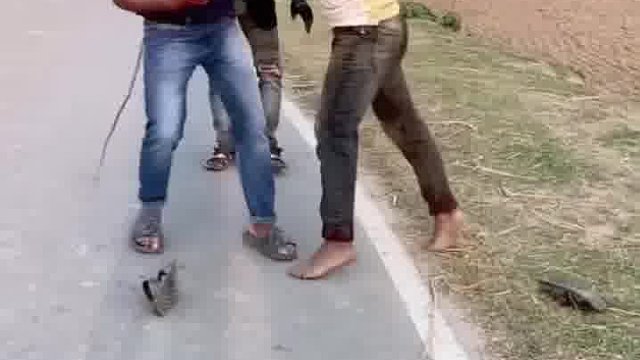 笑到肚子疼！老外奇葩恶搞大赏