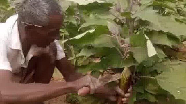 老外玩法，承包今日笑点