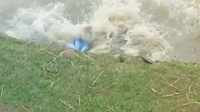 惊！老外欢乐恶搞大揭秘咯