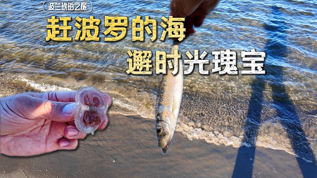 【陈睿】国外赶海！波罗的海谁赶过？和我去岸边走一走！