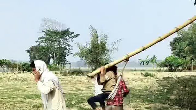 惊！老外新奇恶搞大曝光