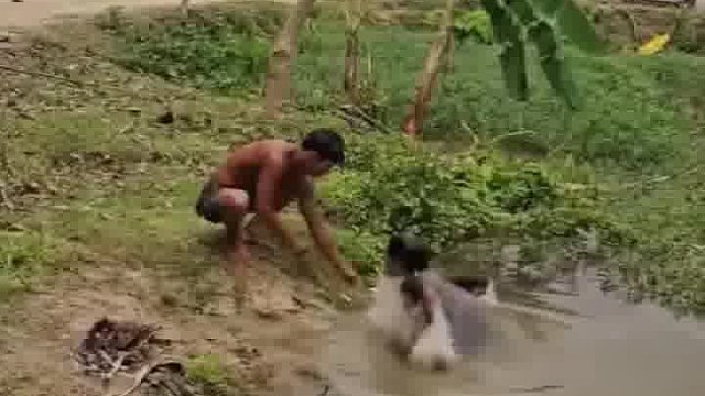 老外玩法，笑到腰都直不起来咯