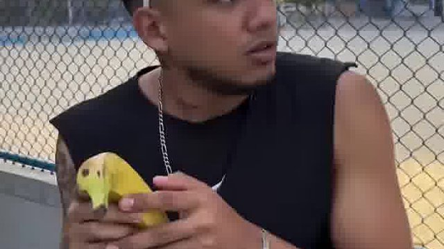 原来老外这样玩，太有趣味了