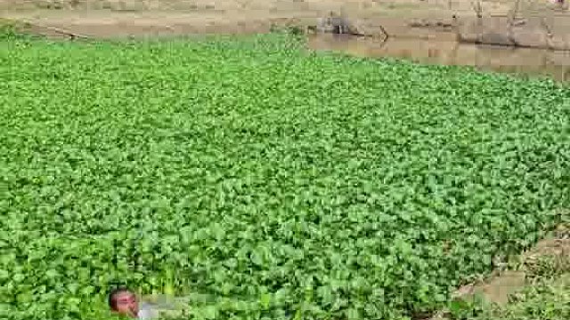 老外的玩法，笑到直不起身