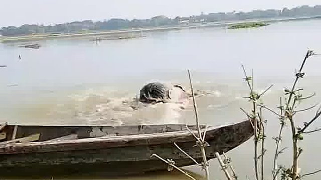 老外玩法，笑到笑出表情包乱