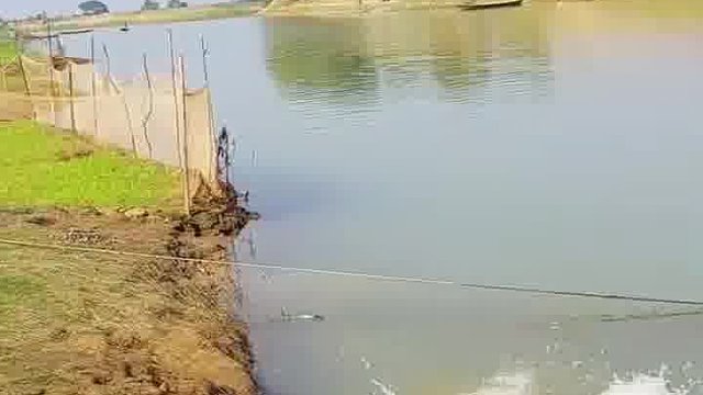 笑喷！老外趣味恶搞大狂欢