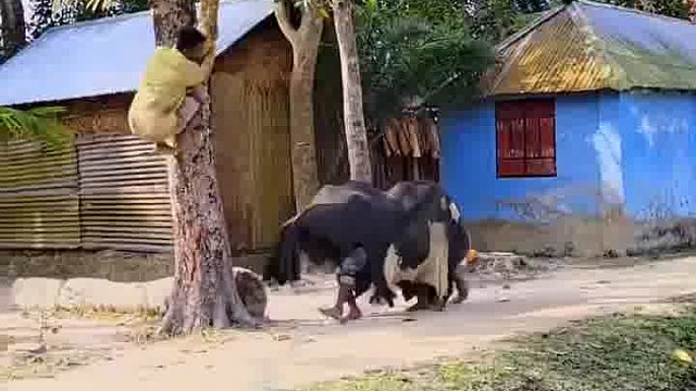 笑岔气哇哦哦！老外的神奇玩法