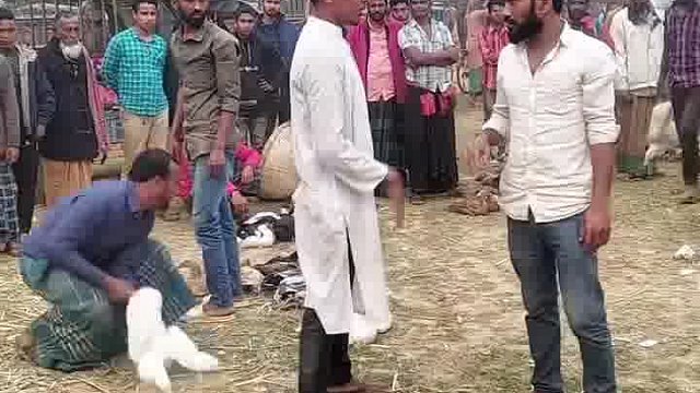 歪果仁的有趣玩法笑翻了