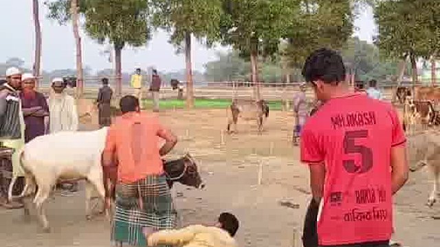 老外恶搞，笑到笑出表情包乱