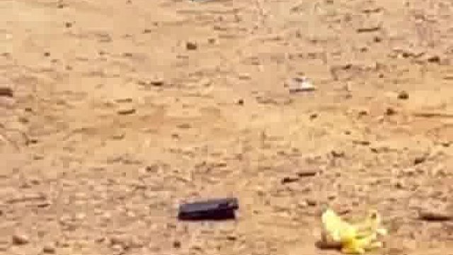 歪果仁，玩法太有氛围感了