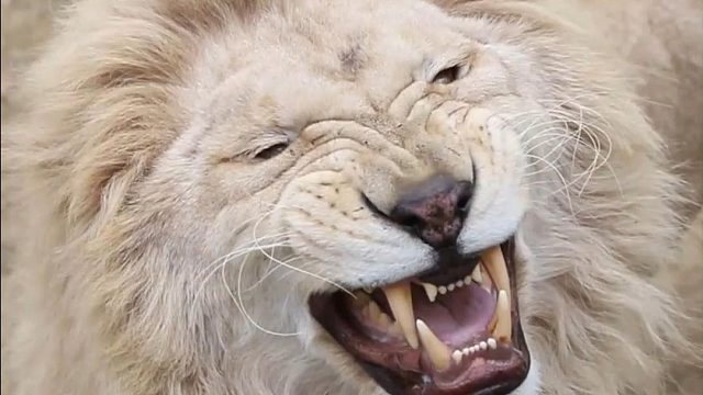 你笑起来真好看~像春天的花儿一样~