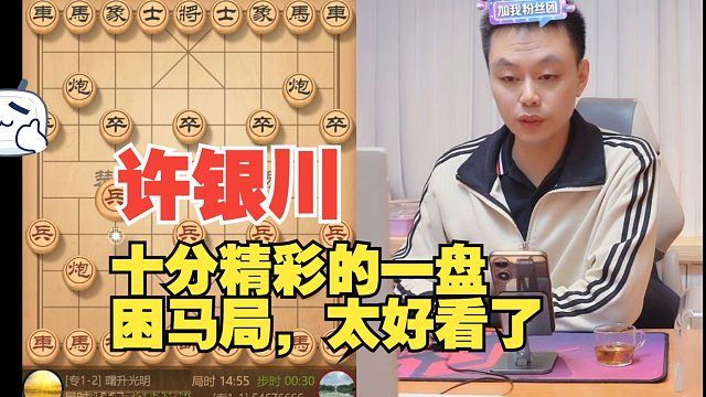 许银川十分精彩的困马局，太好看了