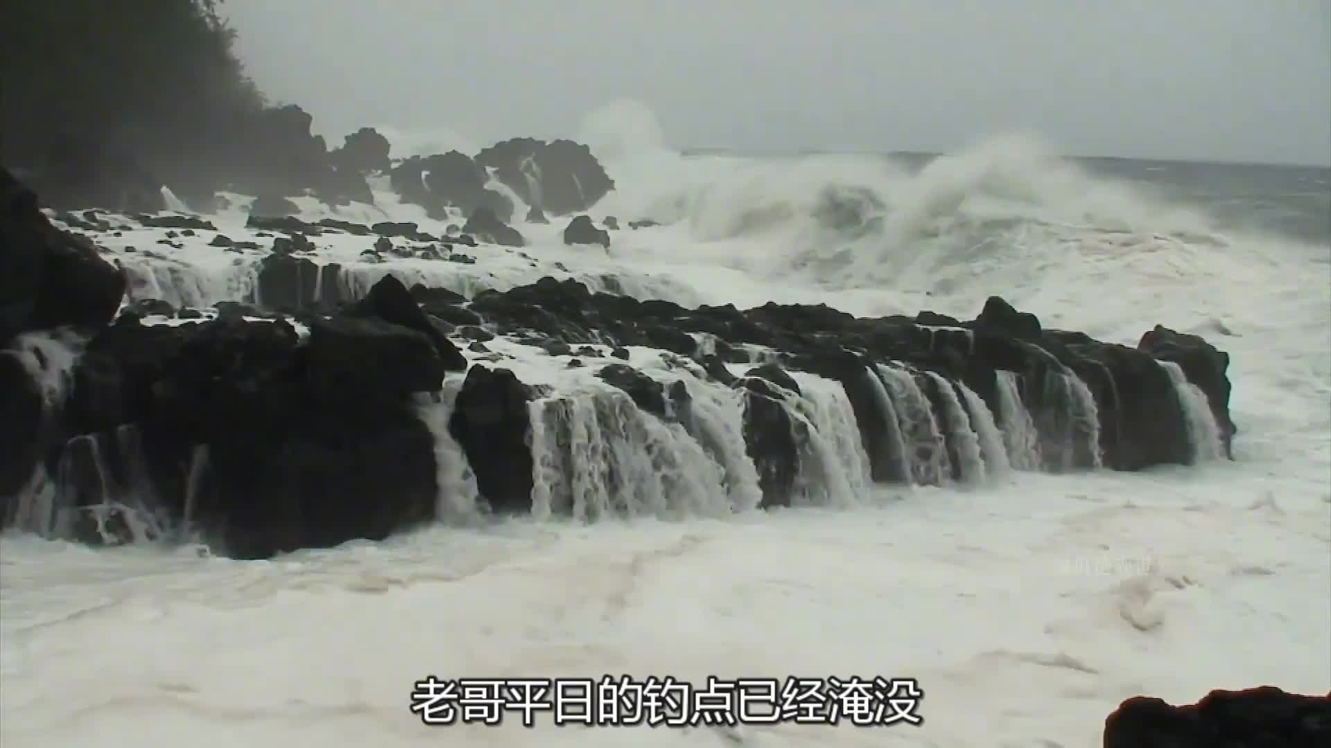 荒岛求生三百天，利用陷阱捕获一只小猪崽，会不会把它吃掉呢