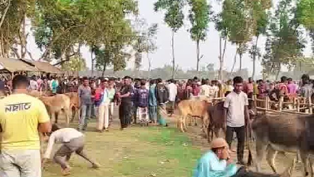 惊爆！老外的欢乐玩法大全