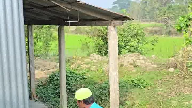 论老外，恶搞能多让人笑破防到心碎