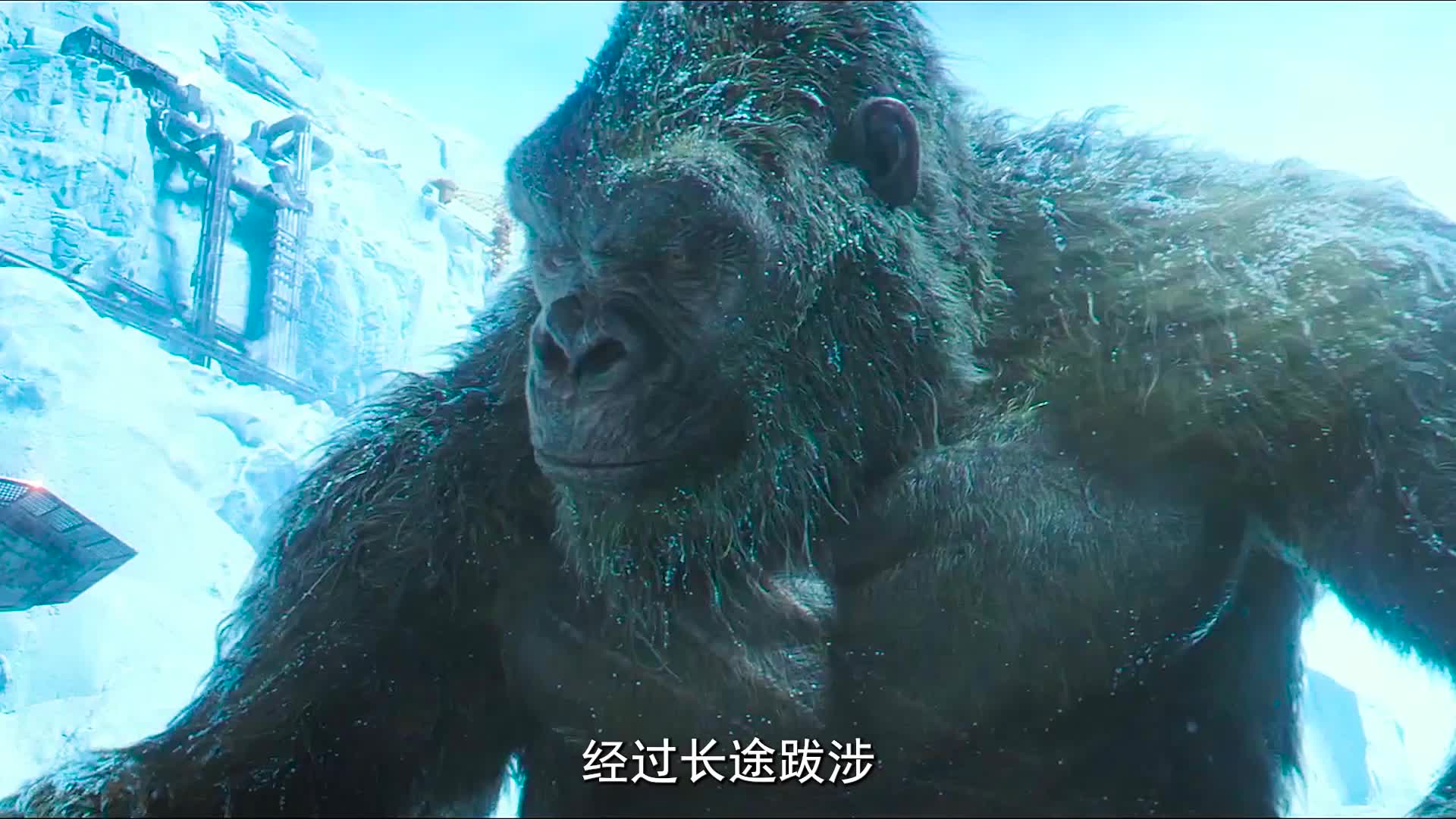 哥斯拉大战金刚 完整版