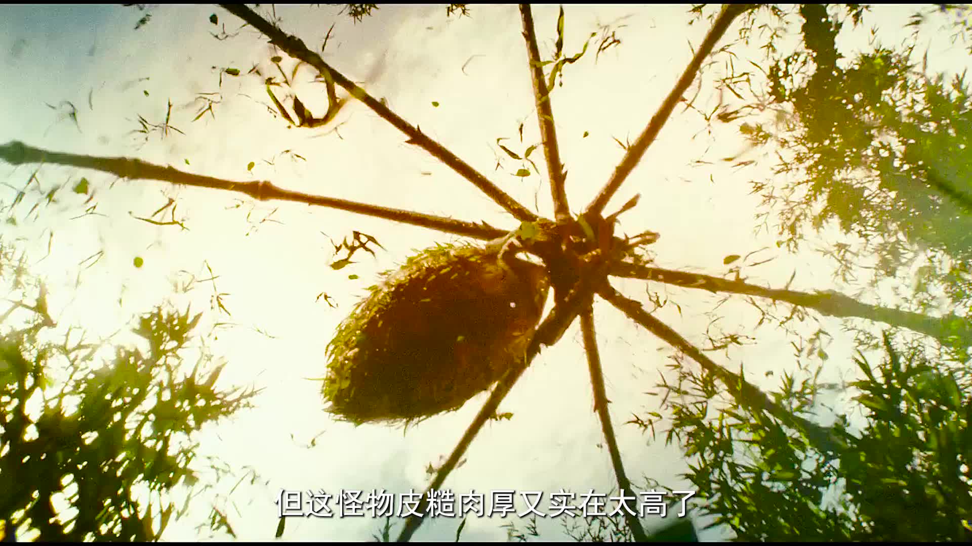 金刚骷髅岛 完整版