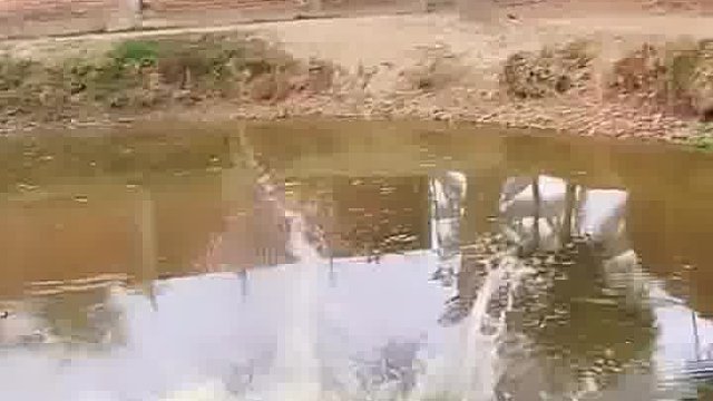 看！老外恶搞玩出快乐新高度玩法