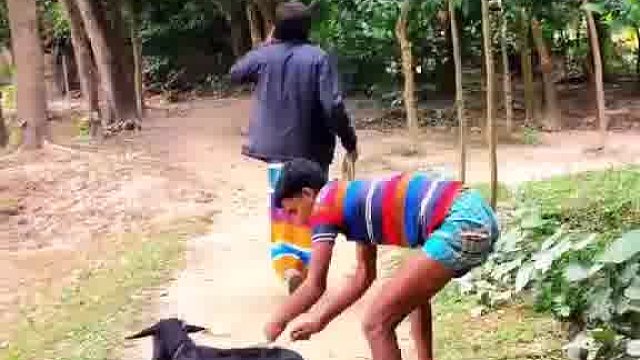 瞅瞅！老外恶搞多有新奇劲儿呀