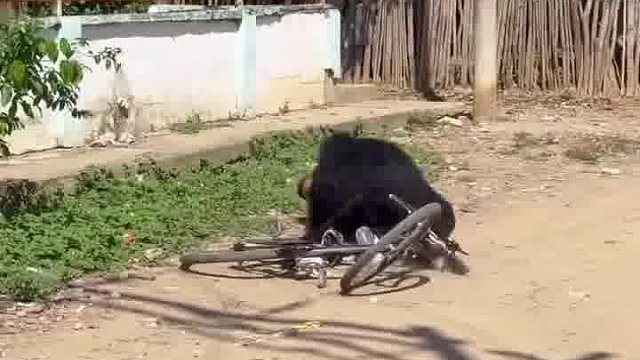 歪果仁，玩法太有个性啦