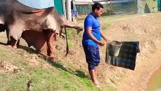 笑裂！老外那些无厘头恶搞大赏