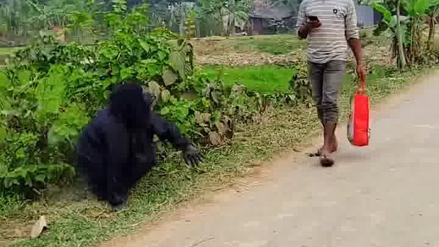 惊！老外的欢乐玩法大揭秘