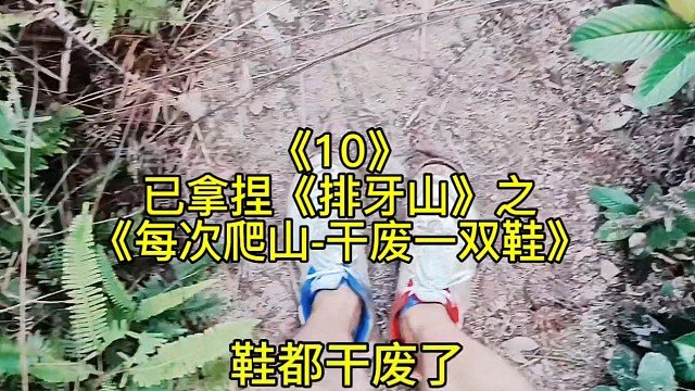 已拿捏《排牙山10》之《每次爬山都干废一双鞋》这么难走的路吖